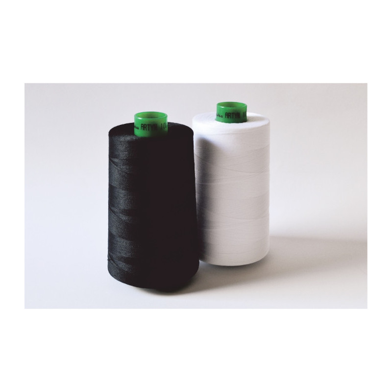 Nici Artyn 100 5000 m