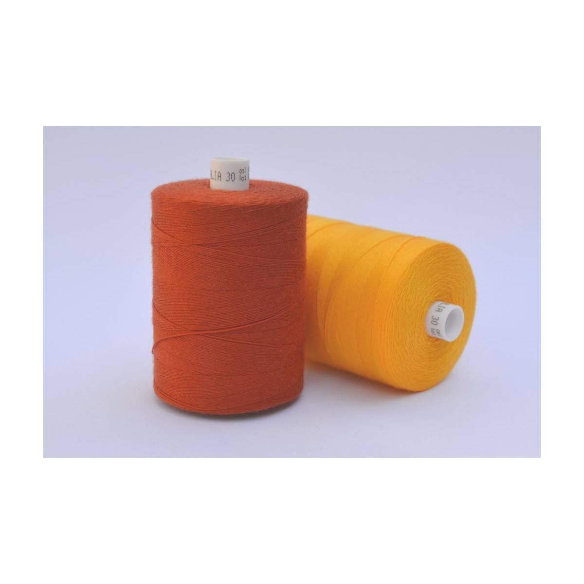 Nici Talia 30 1000 m