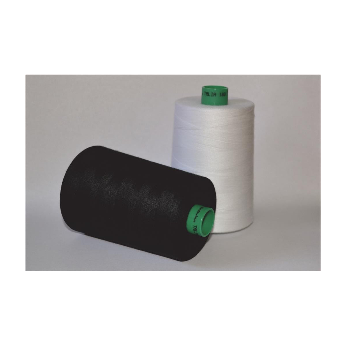 Nici Talia 180 10000 m